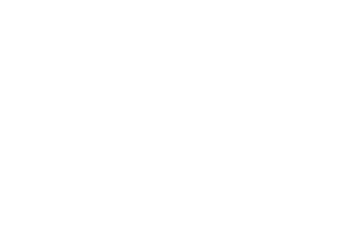 sinergie logo