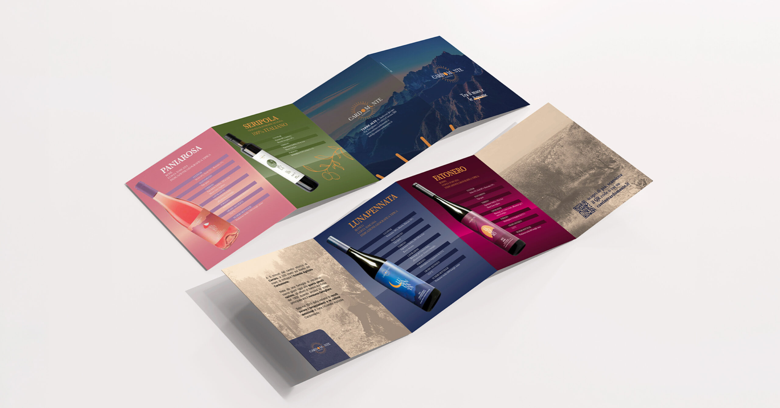 Cantine Cardomonte — immagine di progetto 6